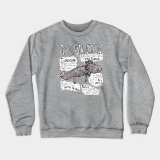 Axolotl Facts, Axolotl Steckbrief, Axolotl Funny Crewneck Sweatshirt